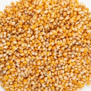 Maiz para pipocas x 1kg